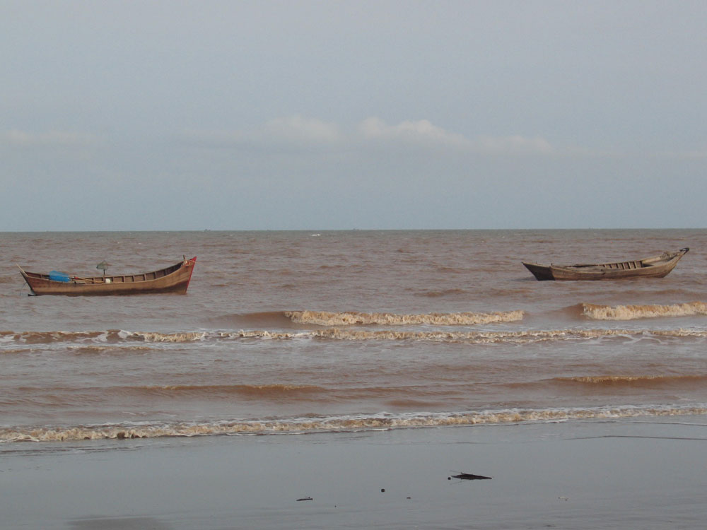 Mer marron dans le delta du Mékong