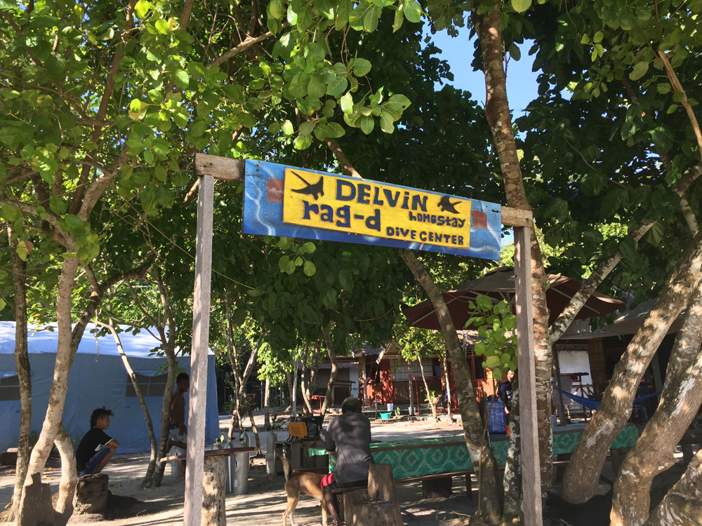 Delvin Diving Kri